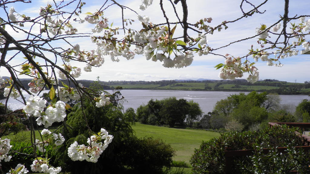 Double or Twin Room,248756421:JPEG